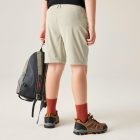 Dare2be Reprise III Short Gyerek rövidnadrág bézs