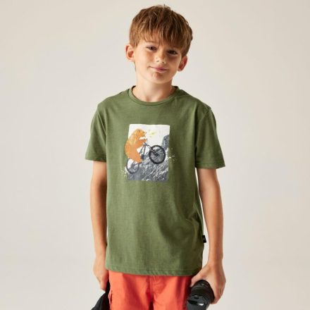 Dare2be Trailblz III tee Gyerek pamut póló zöld