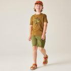 Dare2be Trailblz III tee Gyerek pamut póló barna