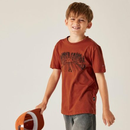 Dare2be Trailblz III tee Gyerek pamut póló barna