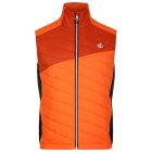 Dare2be Touring Gilet Férfi mellény narancs