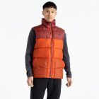 Dare2be City Gilet Férfi steppelt mellény narancs