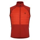 Dare2be Descending Gilet Férfi hibrid mellény narancs