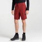Dare2be Tuned In II Short férfi short bordó