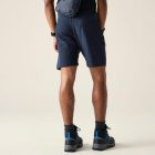 Dare2be Torrek II Short Férfi túrashort kék