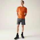 Dare2be Torrek II Short Férfi túrashort szürke