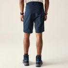 Dare2be TunedInProIIShort Férfi  short kék