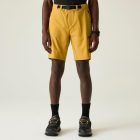 Dare2be TunedInProIIShort Férfi  short barna