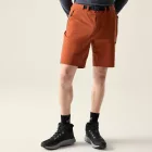 Dare2be TunedInProIIShort Férfi  short barna