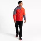 Dare2be LattitudinalIIISh Férfi softshell kabát lila