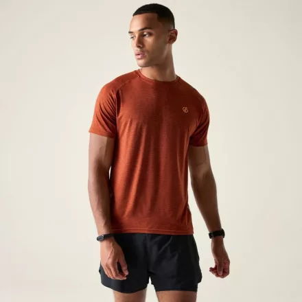 Dare2be Persist Tee Férfi gyorsan száradó felső barna