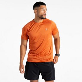  Dare2be Accelerate Tee Férfi gyorsan száradó felső  narancs