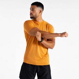   Dare2be Accelerate Tee Férfi gyorsan száradó felső  narancs