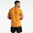 Dare2be Accelerate Tee Férfi gyorsan száradó felső  narancs