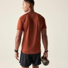 Dare2be Accelerate Tee Férfi gyorsan száradó felső  barna