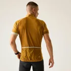 Dare2be ProtractionIIIJrs Férfi kerékpáros felső sárga