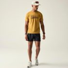 Dare2be Tech II Tee Férfi gyorsan száradó póló barna