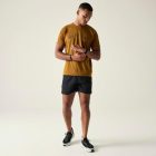 Dare2be Tech II Tee Férfi gyorsan száradó póló barna