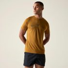 Dare2be Tech II Tee Férfi gyorsan száradó póló barna