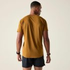 Dare2be Tech II Tee Férfi gyorsan száradó póló barna