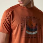 Dare2be Tech II Tee Férfi gyorsan száradó póló barna