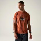 Dare2be Tech II Tee Férfi gyorsan száradó póló barna