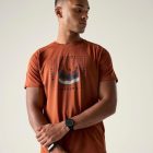 Dare2be Tech II Tee Férfi gyorsan száradó póló barna