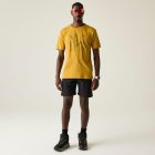 Dare2be MovementIII Tee Férfi póló barna