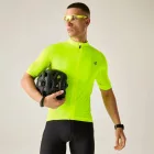 Dare2be LightningS/SJersy Férfi kerékpáros mez sárga