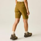 Dare2be WomensTorrekShort Női túra short barna