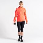 Dare2be Wmn Mediant IIJkt női technikai kabát 10.000 mm piros