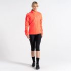 Dare2be Wmn Mediant IIJkt női technikai kabát 10.000 mm piros