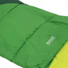 Regatta Hilo v2 250 hálózsák zöld