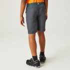 Regatta Sorcer Shorts II gyerek short szürke