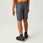 Regatta Sorcer Shorts II gyerek short szürke