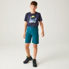 Regatta Sorcer Shorts II gyerek short kék