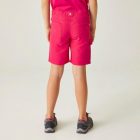 Regatta Sorcer Shorts II gyerek short piros