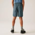 Regatta Sorcer Shorts III Gyerek rövidnadrát zöld