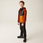 Regatta KielderHybrdVIII Gyerek hybrid felső barna