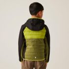 Regatta Kielder Hybrid IX Gyerek könnyû steppelt kabát zöld