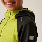 Regatta Kielder Hybrid IX Gyerek könnyû steppelt kabát zöld