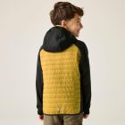 Regatta Jr Andreson Hy Gyerek hybrid felső sárga