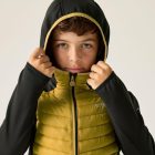 Regatta Jr Andreson Hy Gyerek hybrid felső sárga