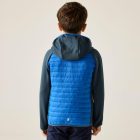 Regatta Jr Andreson Hy Gyerek hybrid felső kék