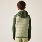 Regatta Jr Andreson Hy Gyerek hybrid felső zöld