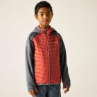 Regatta Jr Andreson Hy Gyerek hybrid felső szürke