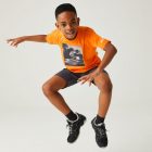 Regatta Alvarado VIII Gyerek gyorsan száradó póló narancs