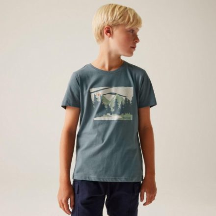 Regatta Bosley VIII Gyerek pamutpóló zöld