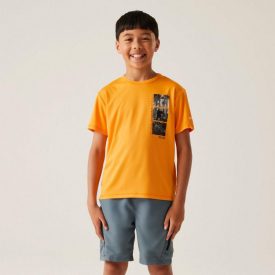 Regatta Alvarado IX Gyerek gyorsan száradó póló narancs