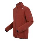 Regatta Torrens férfi polár felső piros